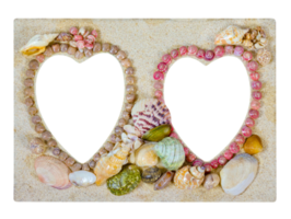 Picture frame made from sea shell isolated png