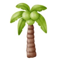 tree palm in watercolor style . png
