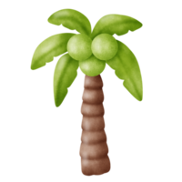 boom palm in waterverf stijl . png