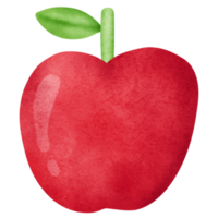 watercolor apple clipart. png