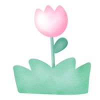 acuarela tulipán ilustración clipart. png