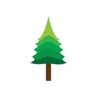 Pine tree illustration vector