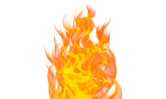 Feu flamme transparent png