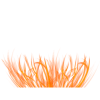 realistic transparent fire flame png