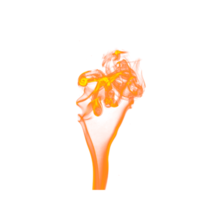 fire flame transparent png