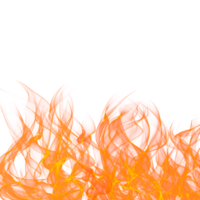 brand flamma transparent png