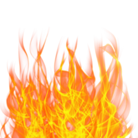 Feu flamme transparent png