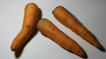 Fresh Carrot Photo