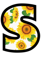 girassol floral alfabeto, carta s com amarelo girassol padronizar png