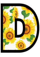 girassol floral alfabeto, carta d com amarelo girassol padronizar png