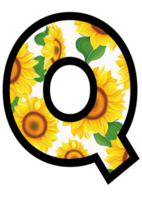 girasol floral alfabeto, letra q con amarillo girasol modelo png