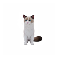 muñeca de trapo linda gato png