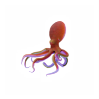 3d Octopus geïsoleerd png