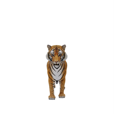 3d TIGER isolated 21107685 PNG