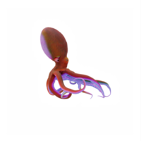 3d Octopus geïsoleerd png