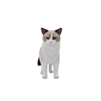 muñeca de trapo linda gato png