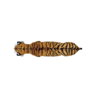 tigre 3d isolé png