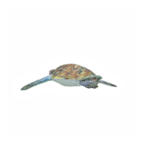 3d océan tortue isolé png