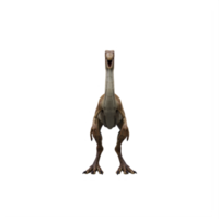 3d gallimimus dinosaure isolé png