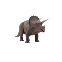 3d triceratops dinosaur isolated png