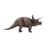 3d triceratops dinosaurio aislado png