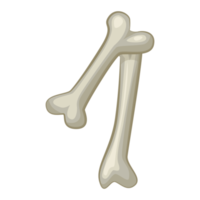 Bone number 1, digit one. Cartoon isoled number png