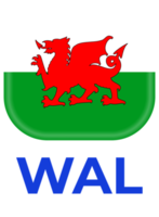 Gales bandera fútbol americano 2024 torneo png