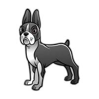 cute boston terrier dog vector