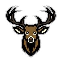 Deer head mascot vector