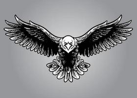 hand drawing style of eagle vector