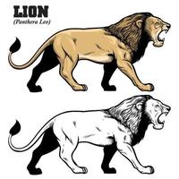 mano dibujo de león vector