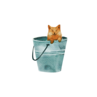 A watercolor painting of a dog in a bucket png