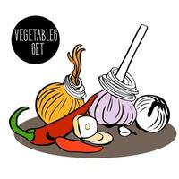 set of vegetables - whole onions and sliced circles, whole garlic and cloves, slices, pieces, and bitter, burning hot red pepper. spices and seasonings. farm vegetables. Icon. natural flavor enhancer. vector