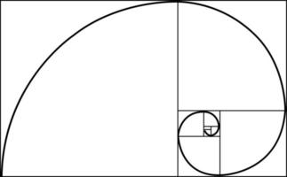 dorado proporción espiral. matemático fórmula a guía diseñadores para armonía composición. resumen ilustración con dorado proporción en blanco antecedentes. geométrico formas símbolo. plano estilo. vector