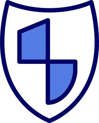 Shield Vector Icon