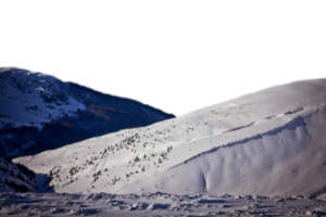 schneebedeckt Hang mit Selten Tanne Bäume isoliert png Foto mit transparent Hintergrund. hoch Qualität Schnitt aus Szene Element. realistisch Bild Overlay zum Webseite Design, Layout, Sozial Medien