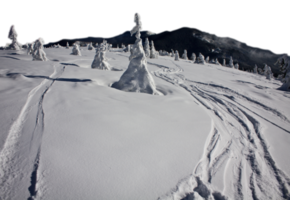 esqui marcas em íngreme neve declive isolado png foto com transparente fundo. extremo esporte. Alto qualidade cortar Fora cena elemento. realista imagem sobreposição para local na rede Internet projeto, disposição, social meios de comunicação