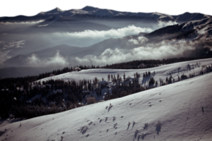 Mountain resort with spruce trees over clouds isolated PNG photo with transparent background. High quality cut out scene element. Realistic image overlay for website design, layout, social media