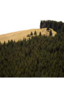 High yellow hill overgrown with pine trees isolated PNG photo with transparent background. High quality cut out scene element. Realistic image overlay for website design, layout, social media