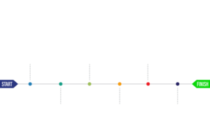 infographic bedrijf sjabloon opties icoon voorwerp png