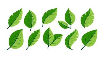 green leaves icon set vector