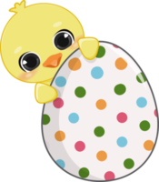 contento Pasqua giorno con carino pulcino. divertente giallo pollo cartone animato personaggio png