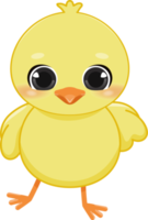 Happy Easter Day with cute chick. Funny yellow chicken cartoon character PNG