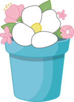 White and Pink Flower in Blue Flower Pot Flat Icon PNG
