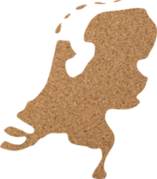 Netherlands cork wood texture cut out on transparent background. png