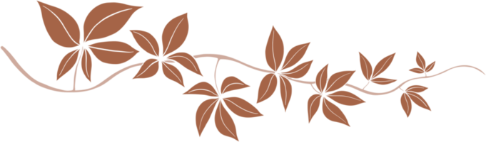 Simplicity ivy freehand drawing png