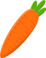 Zanahoria objeto icono png