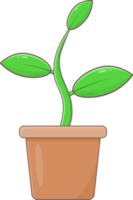 plante dans pot png
