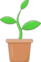 plantar dentro Panela png