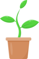 plant in pot png